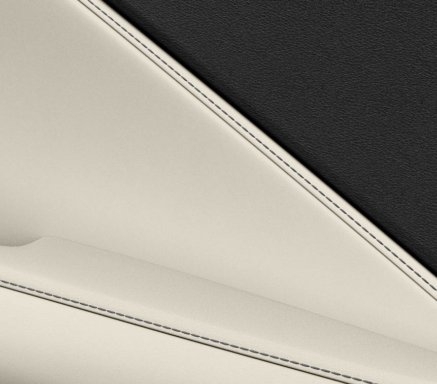 セミアニリン本革ソリスホワイトトリム刺繡：タイプC