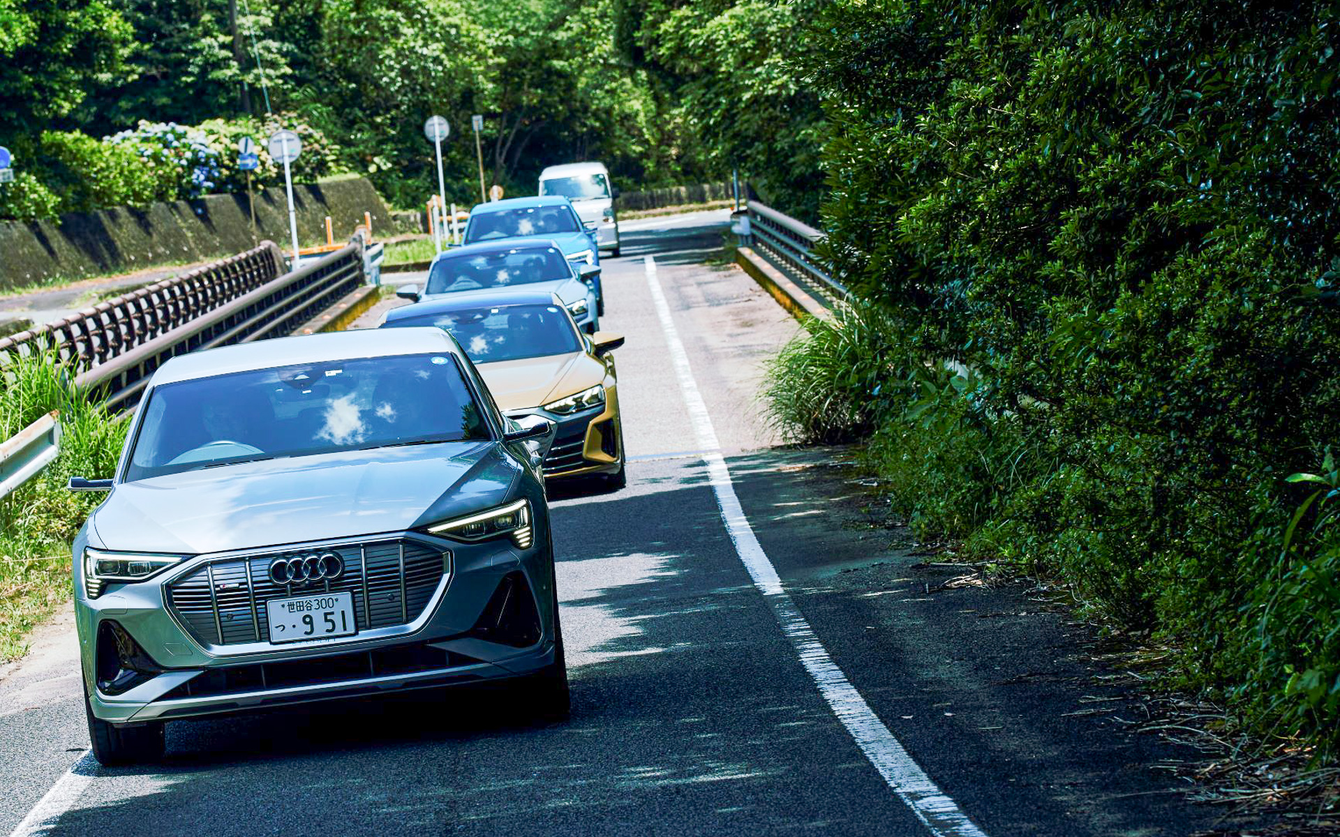 アウディ ジャパンは屋久島でEVモデル「e-tron」を使ったレンタカーサービスを開始する