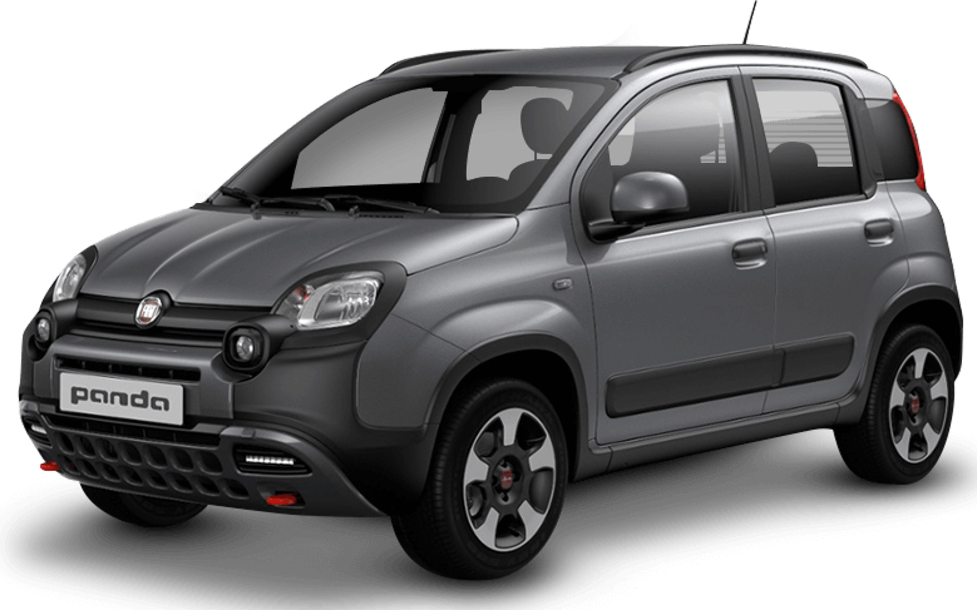 ボディカラー：マエストログレー