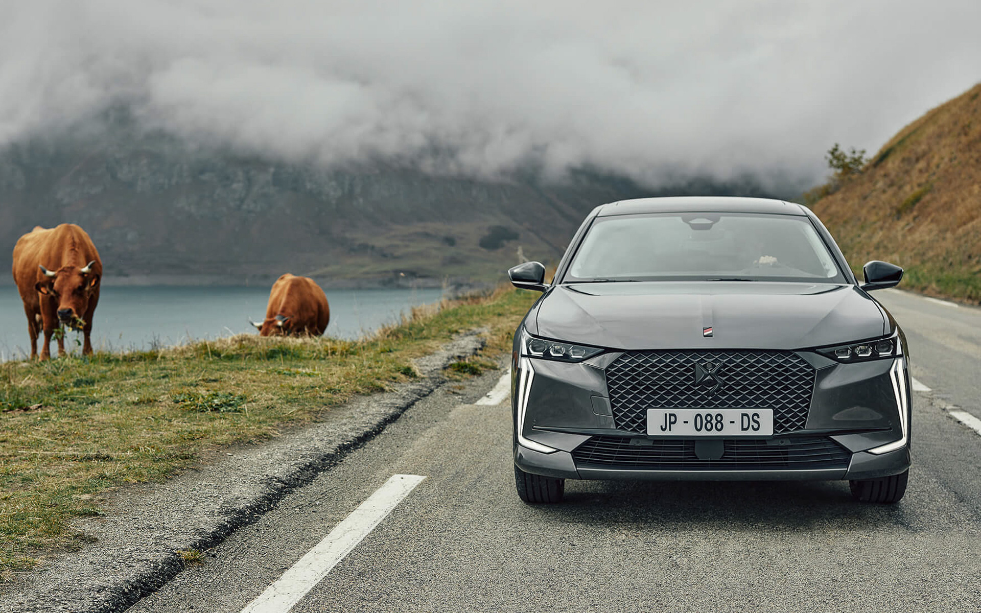 DS 4に特別仕様車「パフォーマンスライン」が追加された