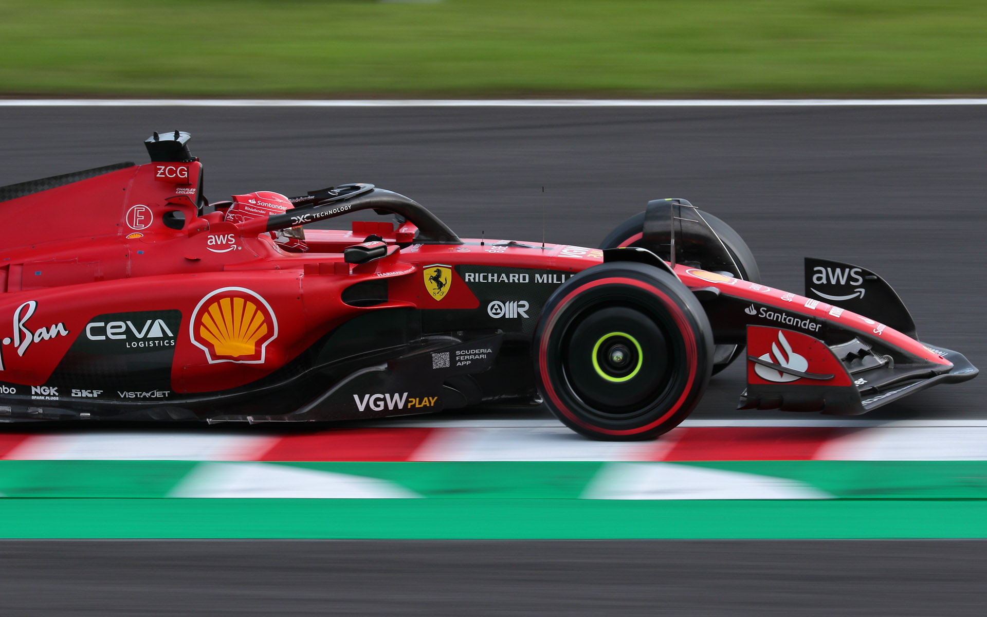 焦点距離248mm、シャッター速度1/160秒で真横付近を撮影