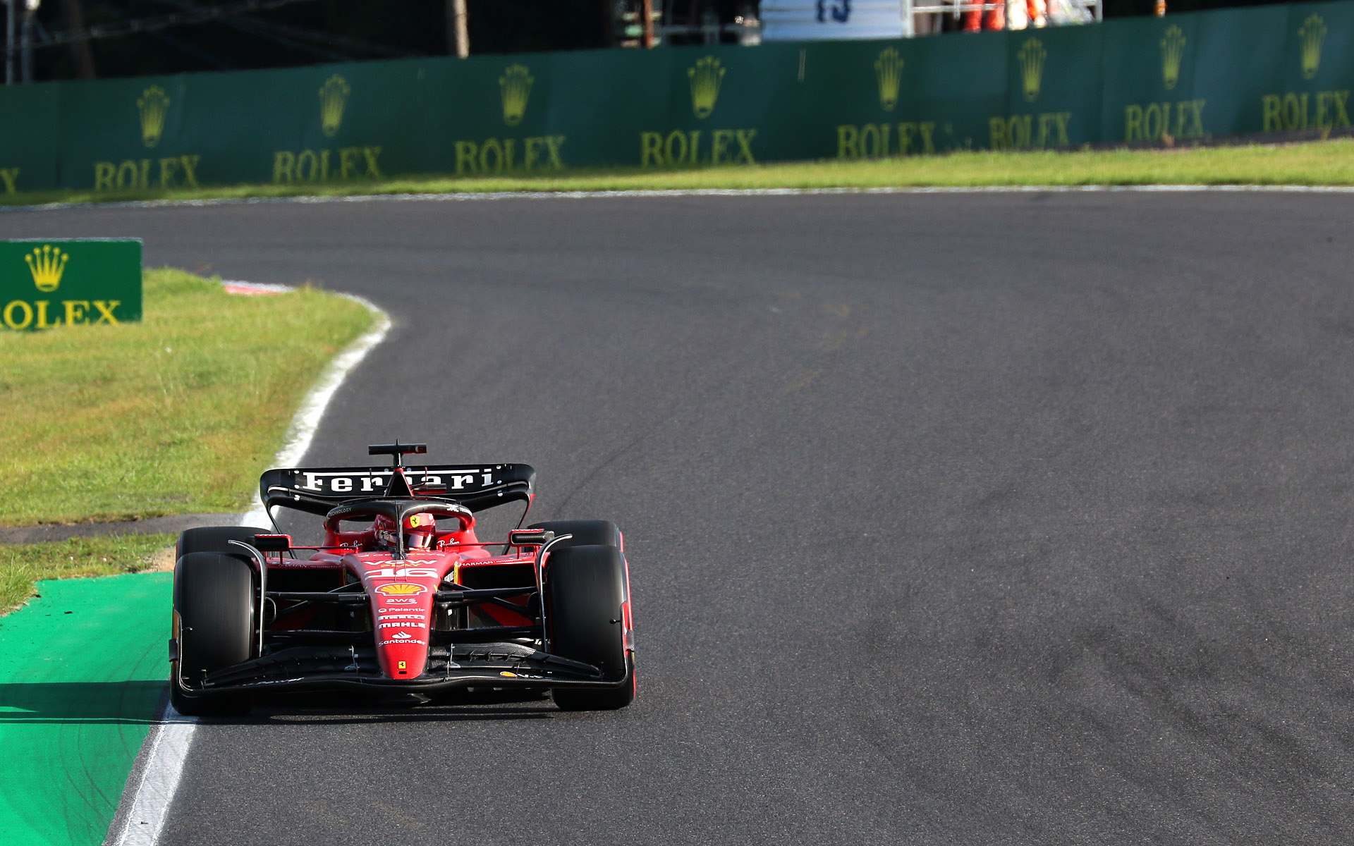 土手の上に移動して焦点距離400mm、シャッター速度1/500秒で撮影