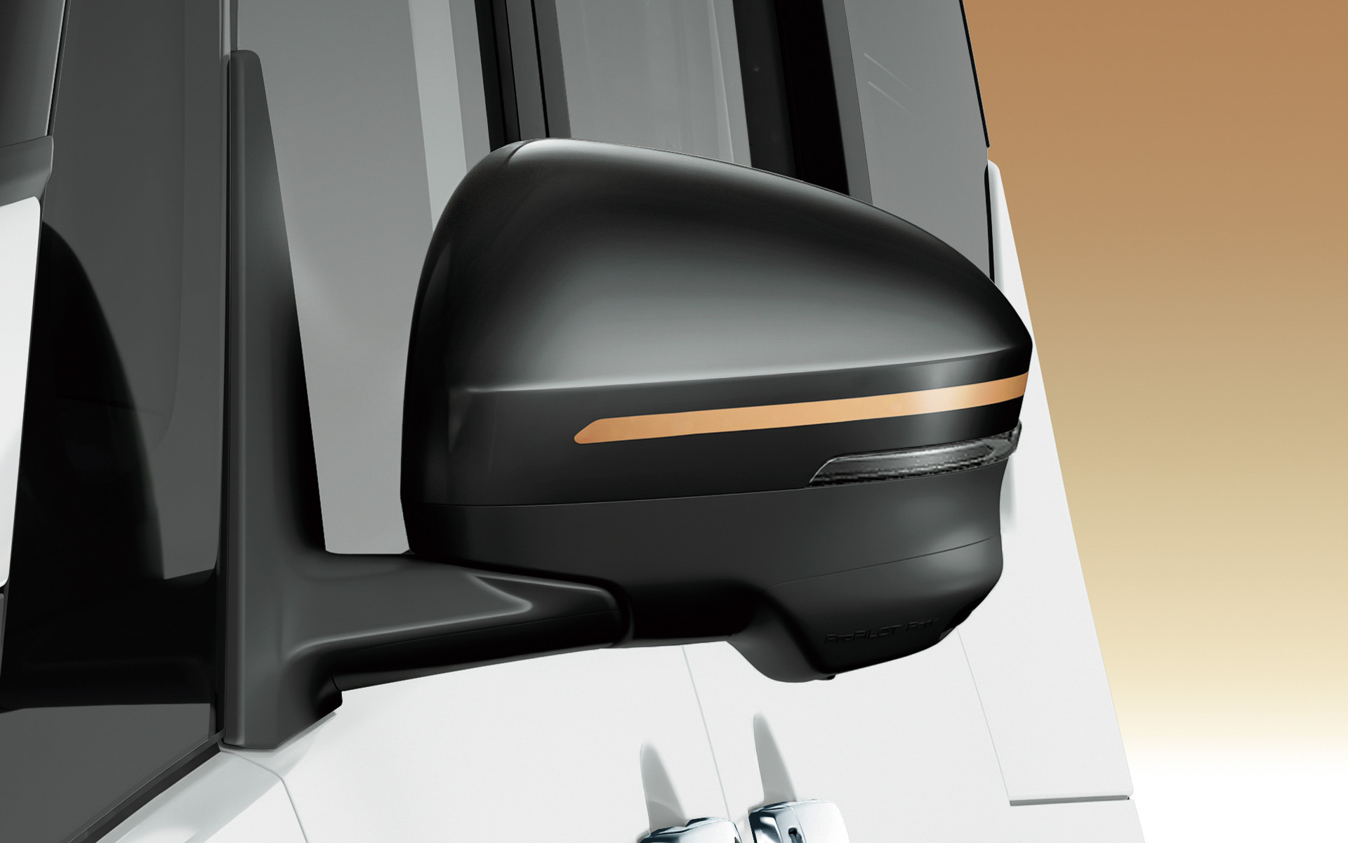 カッパーストライプの入ったブラックドアミラー