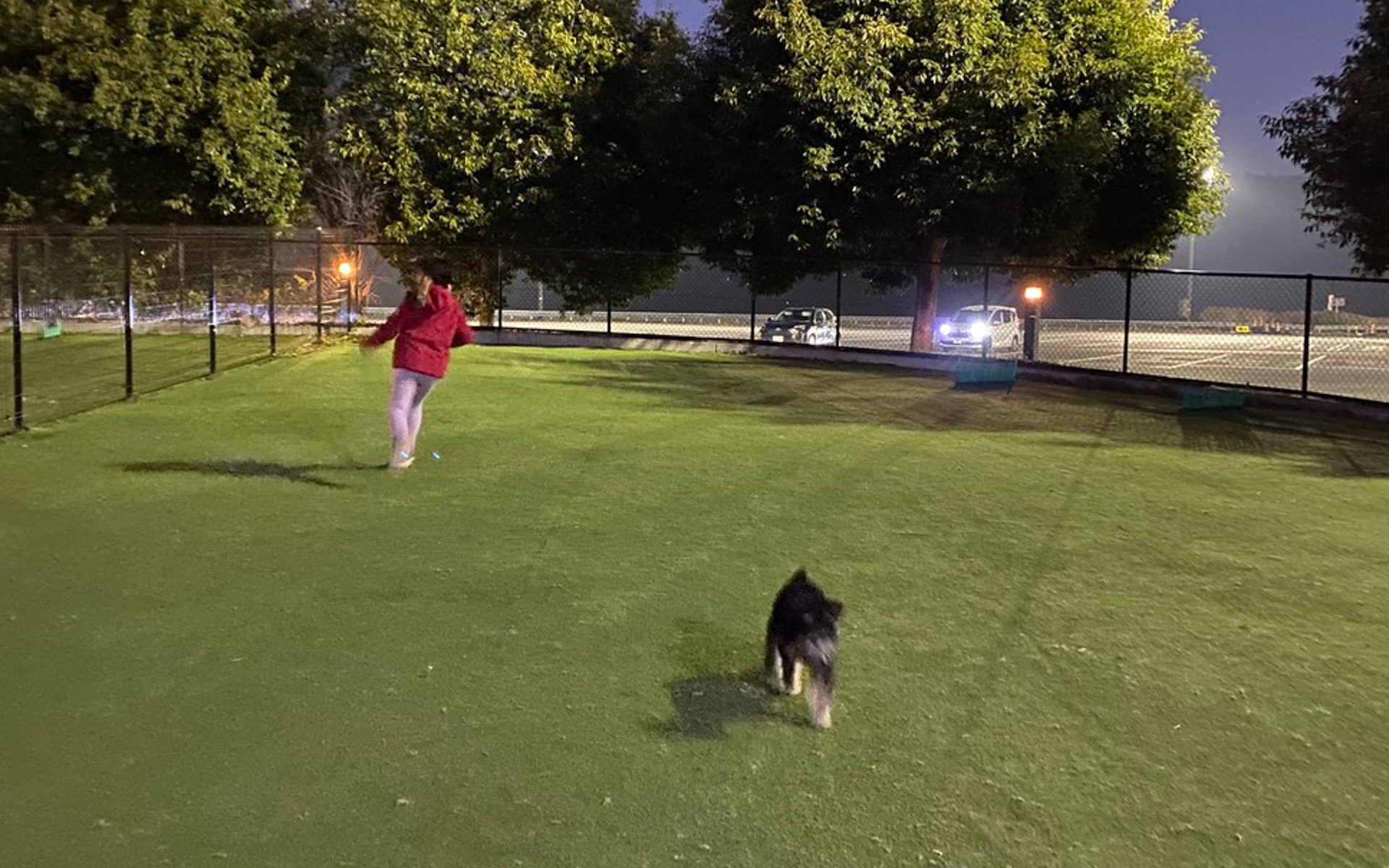 中央道・談合坂SA（下り）のドッグランでしばし遊んでリフレッシュ。犬だけでなく、子供も走りまわれるのでいい気分転換になりますね。大人は座って眺められるベンチもあります