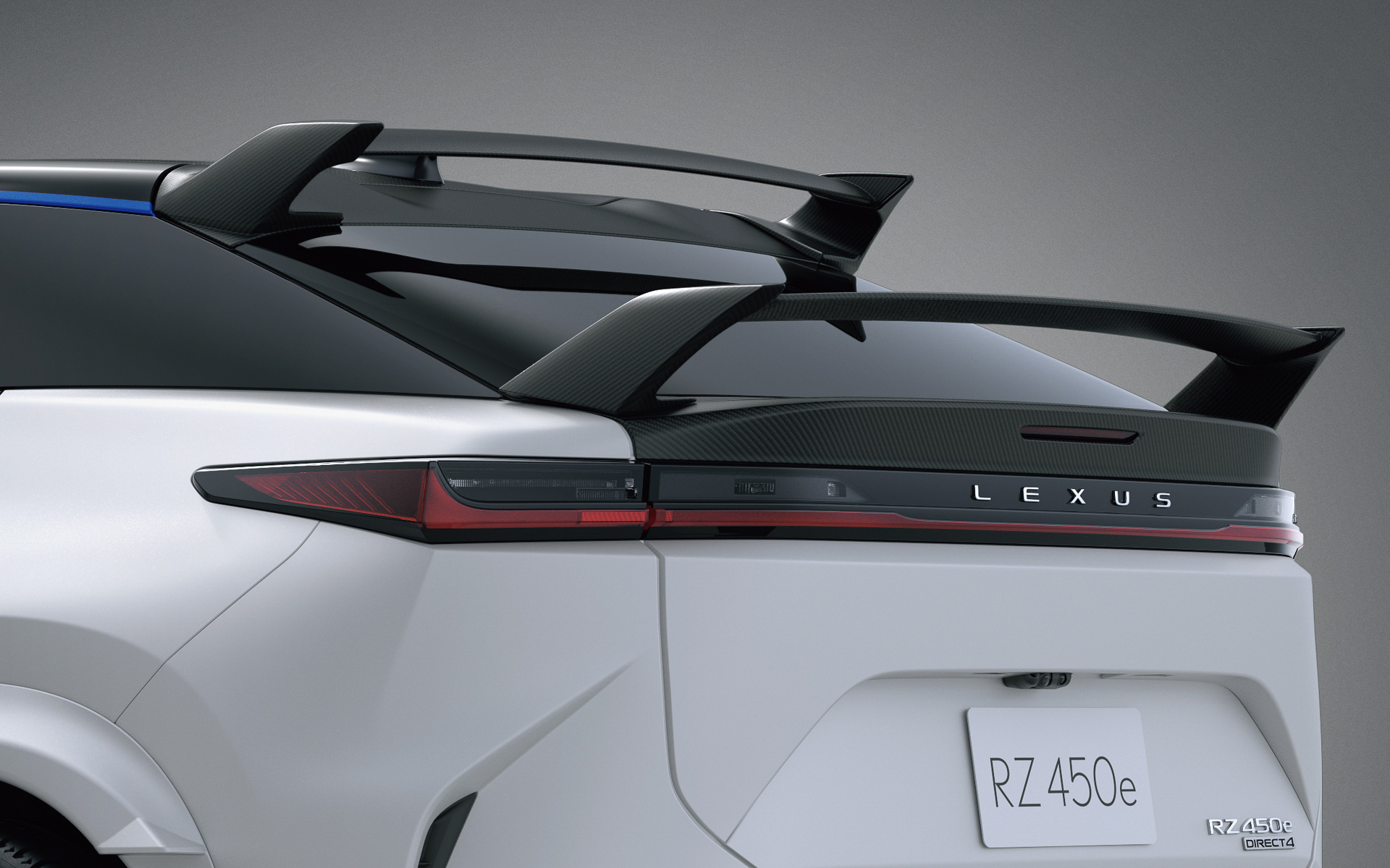 専用カーボンルーフ、専用カーボンウイング