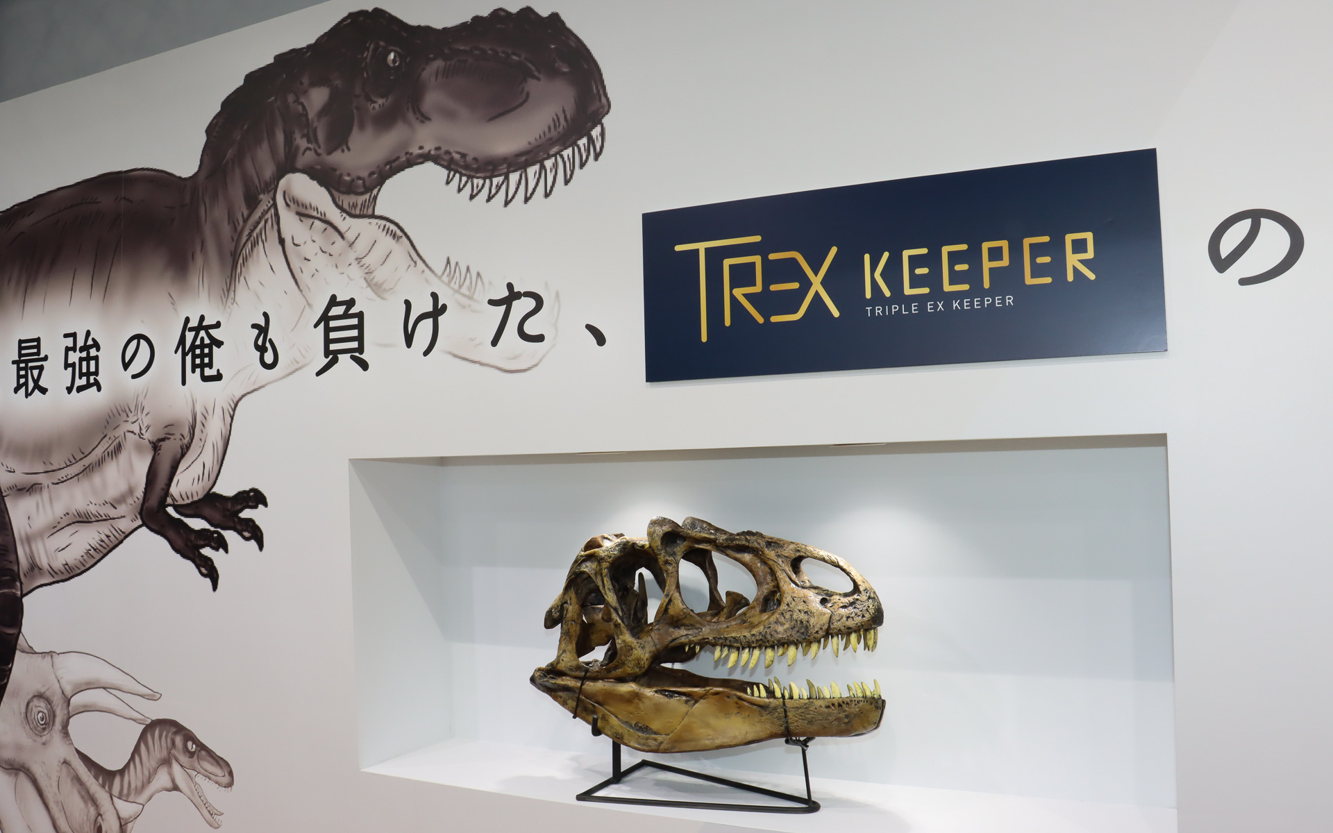 TREXという商品名をアピールするため、「T-REX（ティラノサウルス）」の頭部骨格模型も展示