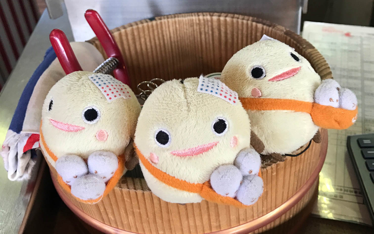 和倉温泉でお風呂に入るのはドナタ？