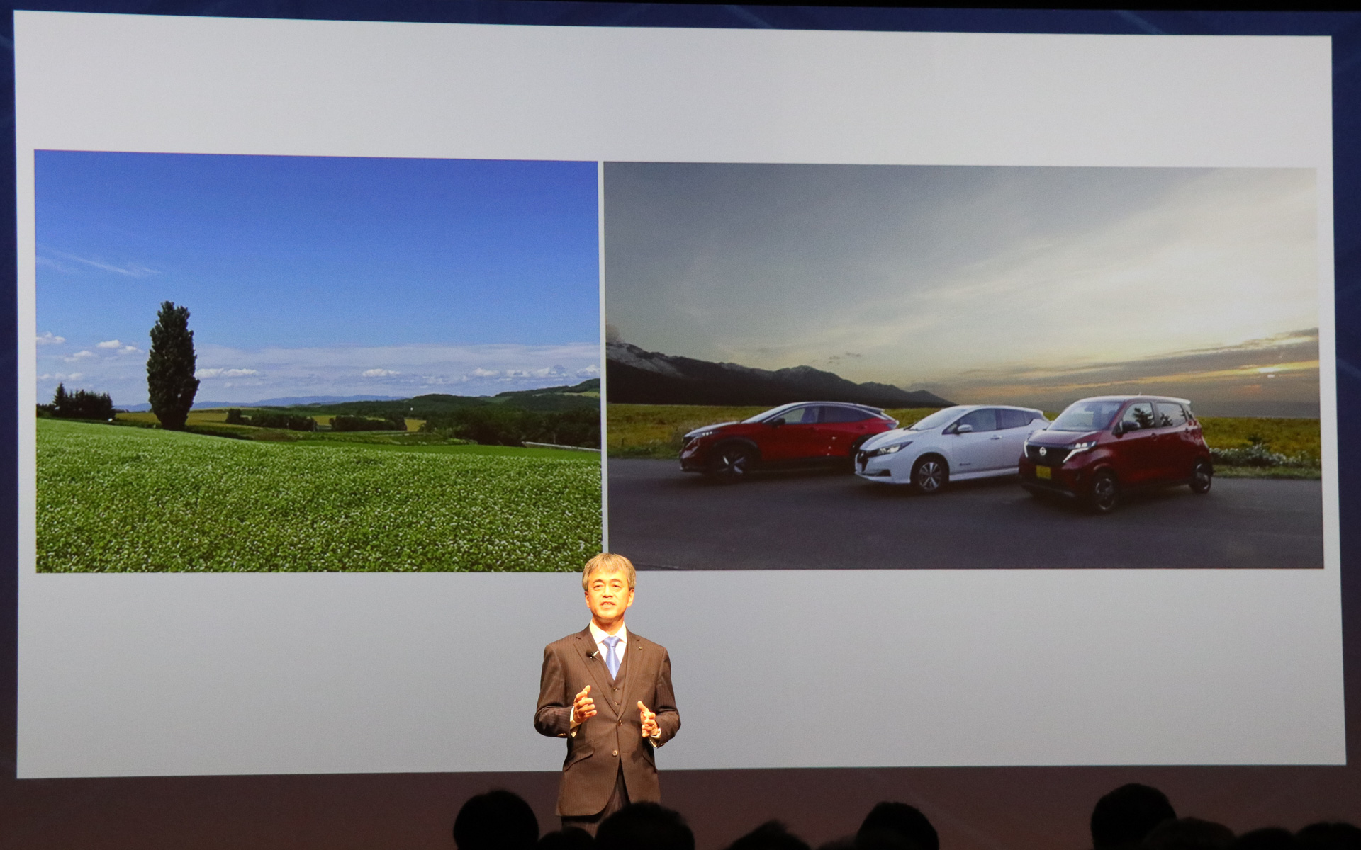 美瑛町には「スカイライン」TV-CMに登場した「ケンとメリーの木」も立っている