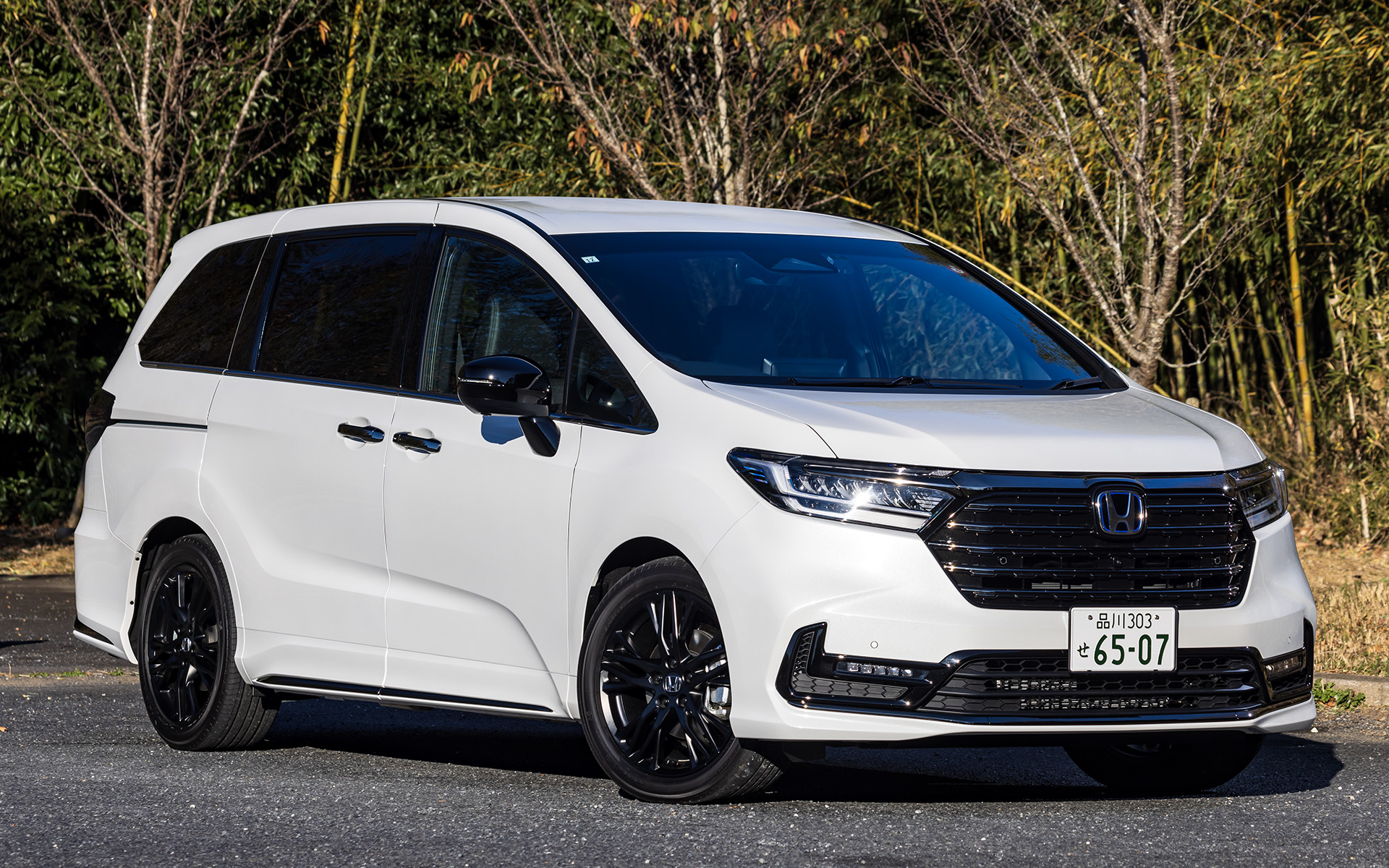 最上級グレードとなる「e：HEV ABSOLUTE・EX BLACK EDITION」は、フロント、サイド、リアの下部にブラッククロームメッキモールを採用している