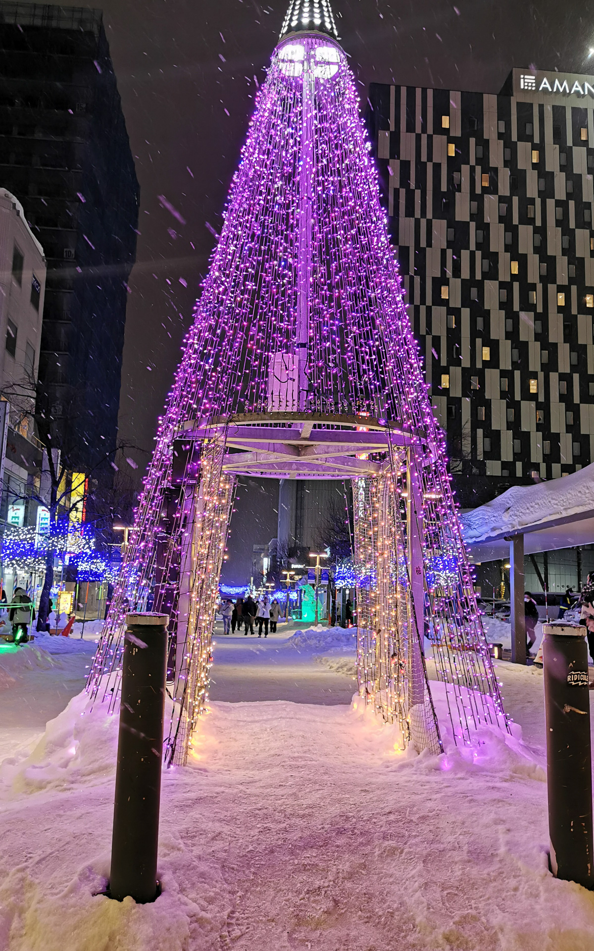 ライトアップはやっぱり冬が一番しっくりきますねぇ～