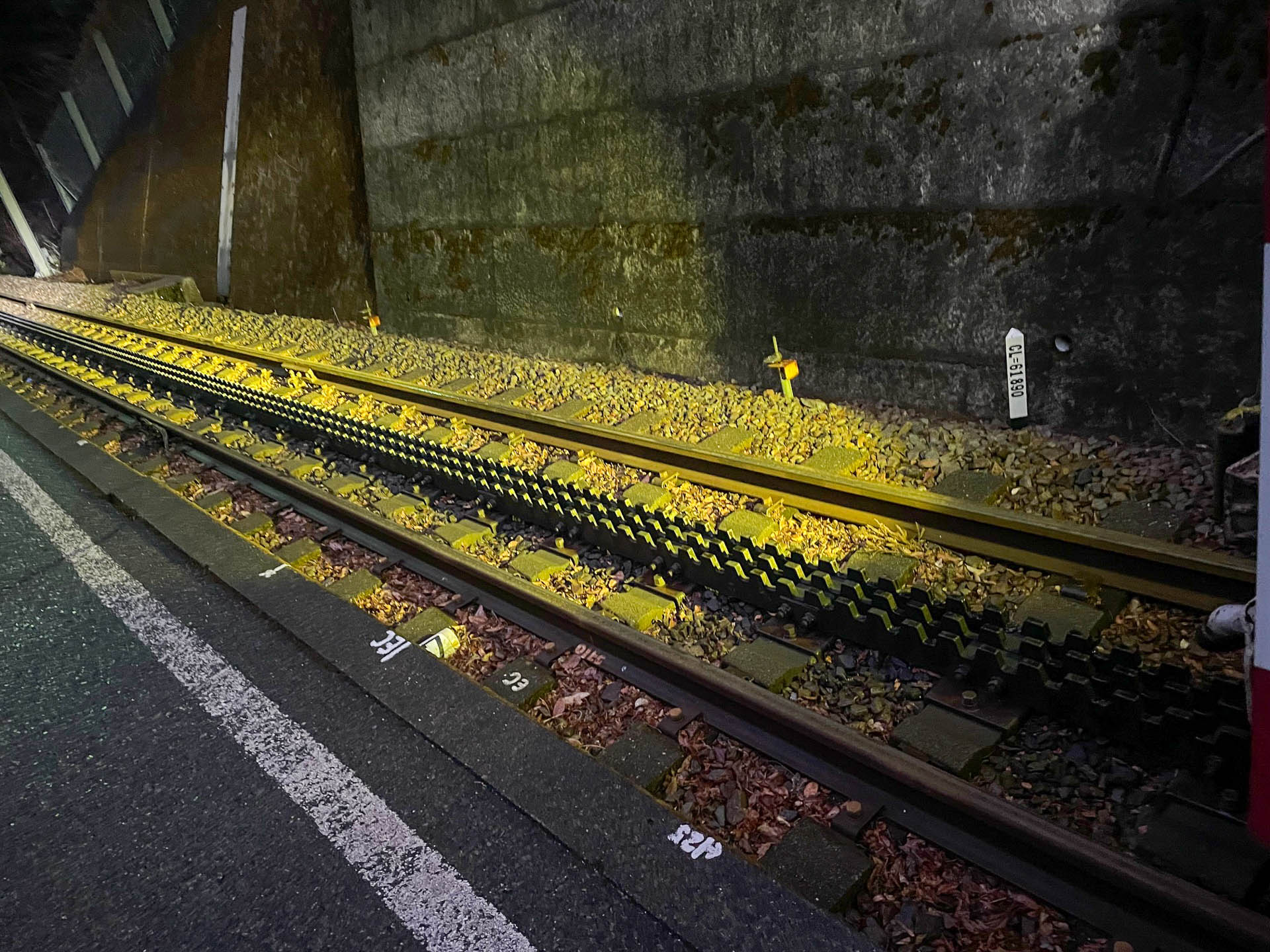 線路間に引かれたラックレール。列車側の歯車と組み合わせる。ディーゼル列車もパワーが必要で、連結するときは結構大きな音とショックがあった