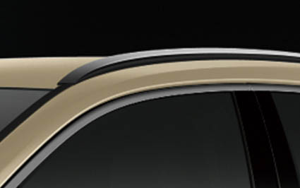 ルーフレール（ブラック）