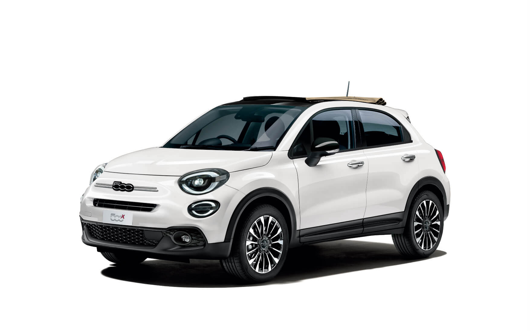 ジェラート ホワイト（100台）