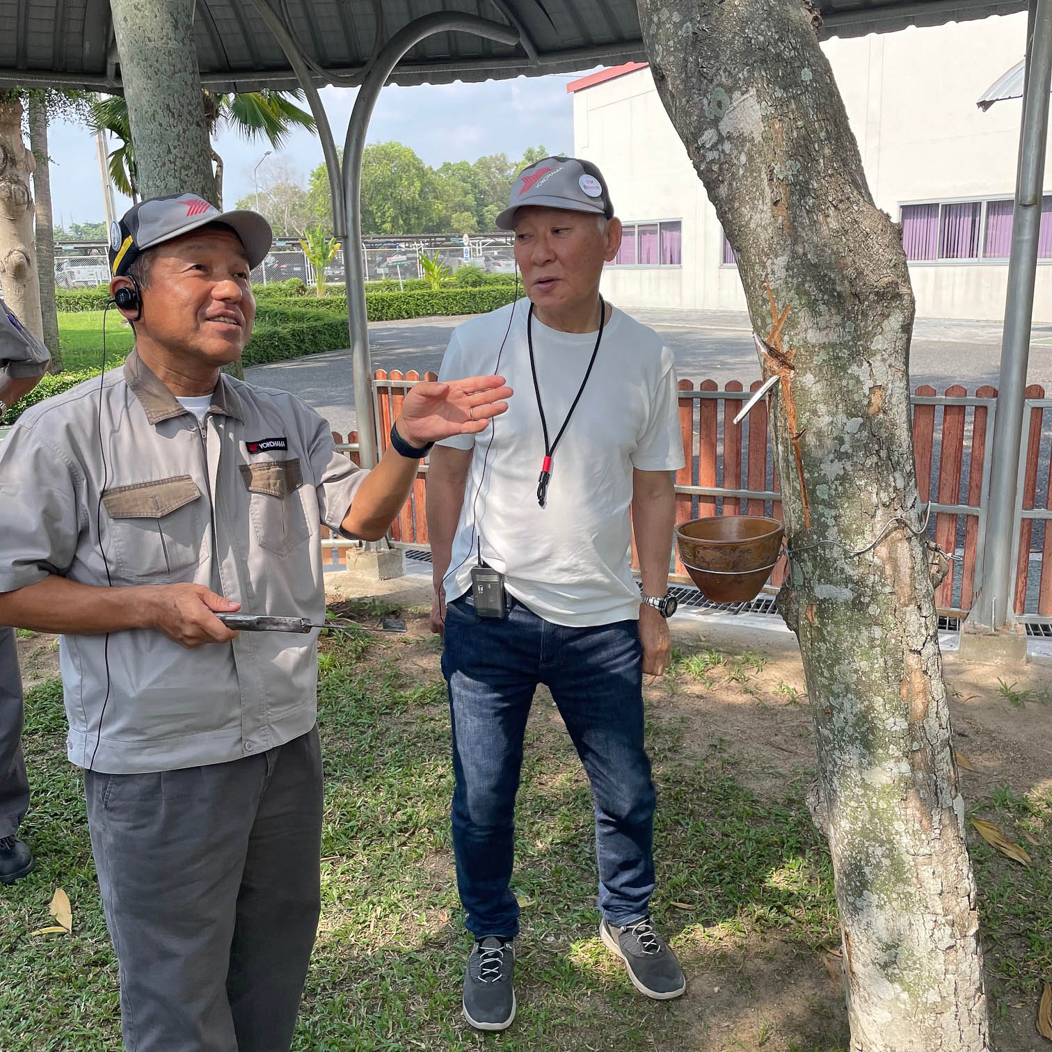 左はYTMTの中村社長。自らお手本を示して樹液を出します。樹液は木工用ボンドのように見えるけどサラサラでにおいも皆無でした