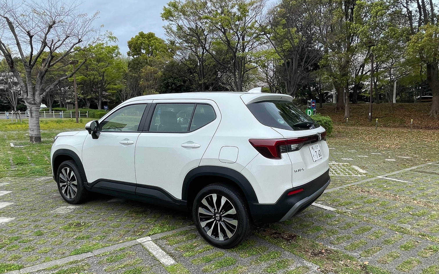 後ろ姿もなかなか端正