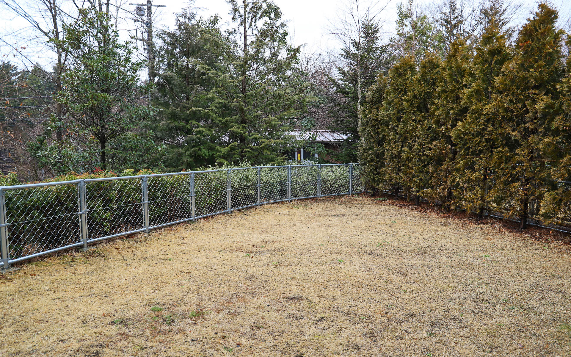 ヴィラは愛犬と一緒に宿泊可能。愛犬のためのプライベートドッグランや、愛犬が外で遊んだあとに足を洗うためのシャワーなども用意されている