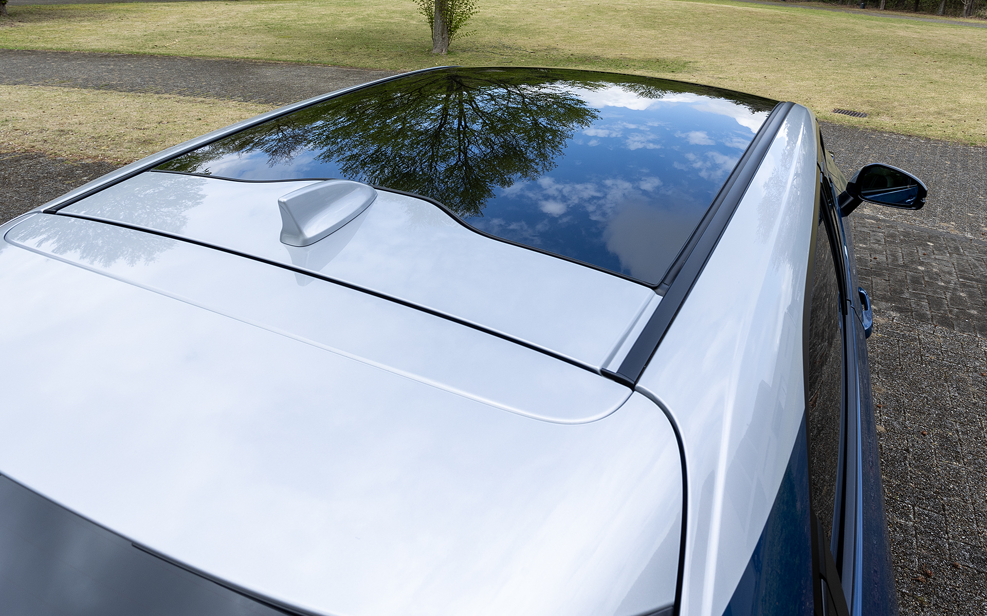 上から見たルーフ