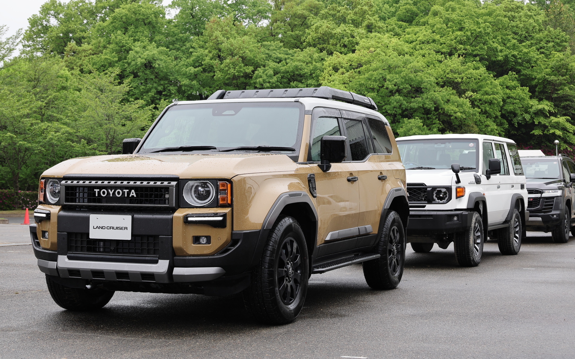 250を先頭にずらりと並んだランドクルーザー