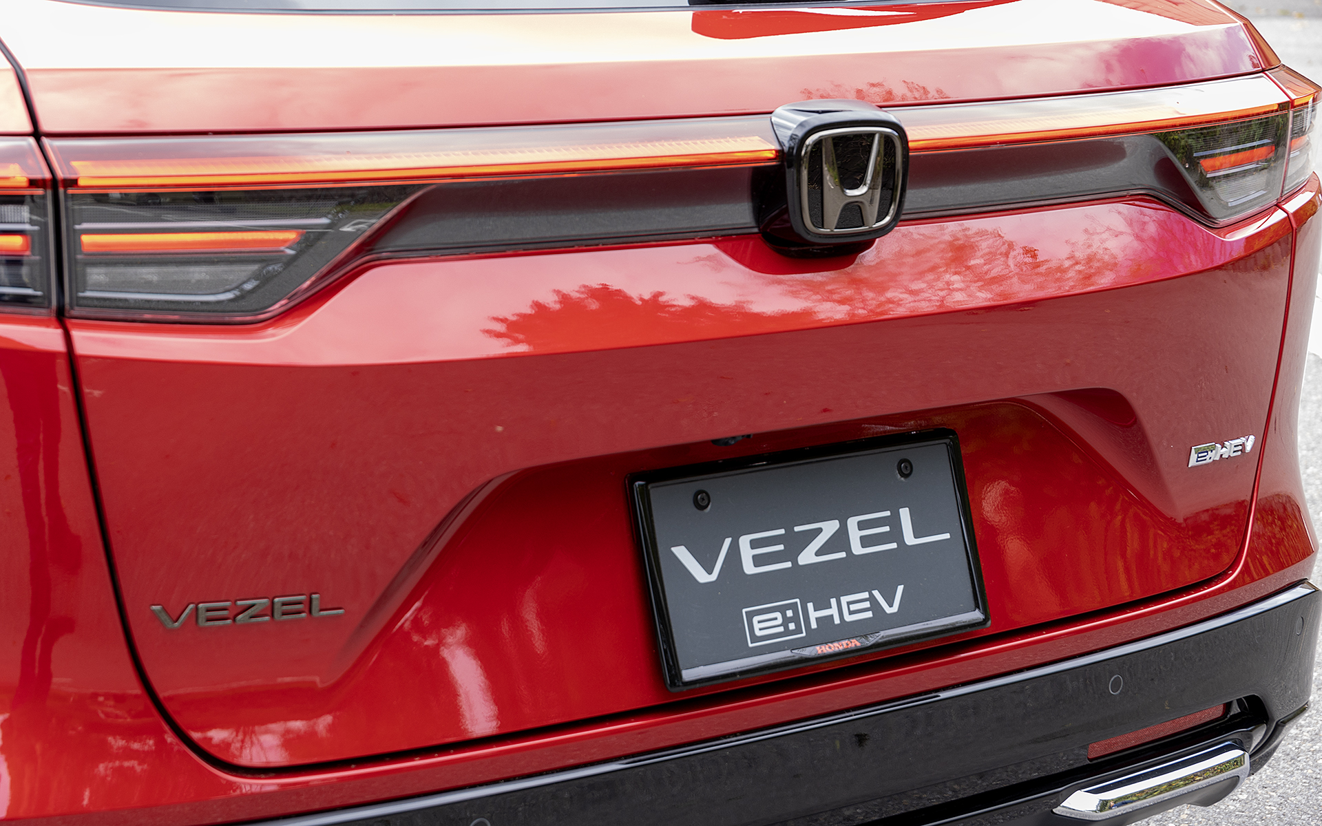 リアライセンスフレーム（価格4950円）。カラーはベルリナブラック。