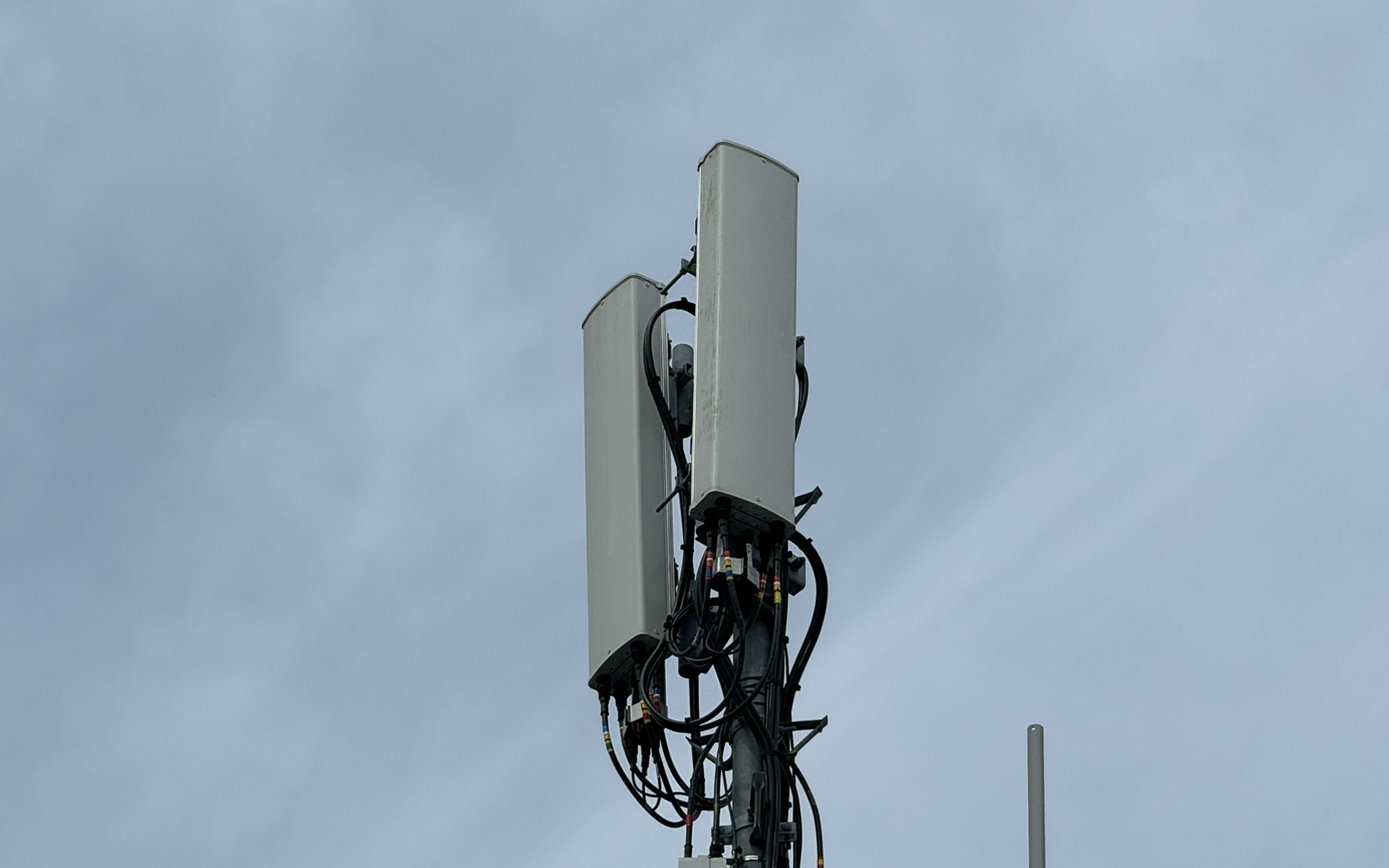 ちなみにこれが5G用のアンテナ