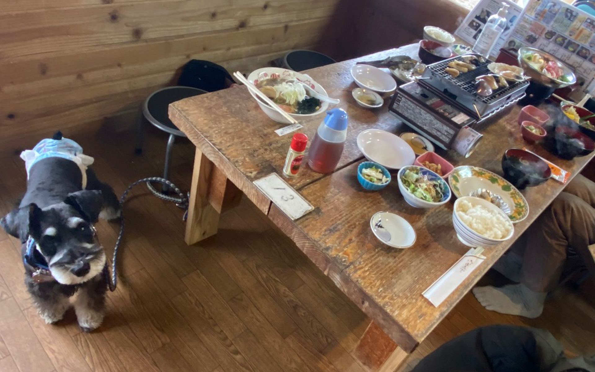 屋内テーブルでペット同伴OKという、貴重な浜焼きのお店、「浜茶屋　網元」さん。床はフローリングなのでもしお水をこぼしたりペットが粗相をしてしまっても、ささっと掃除できるので安心です。お天気が良ければテラス席もあるそうです