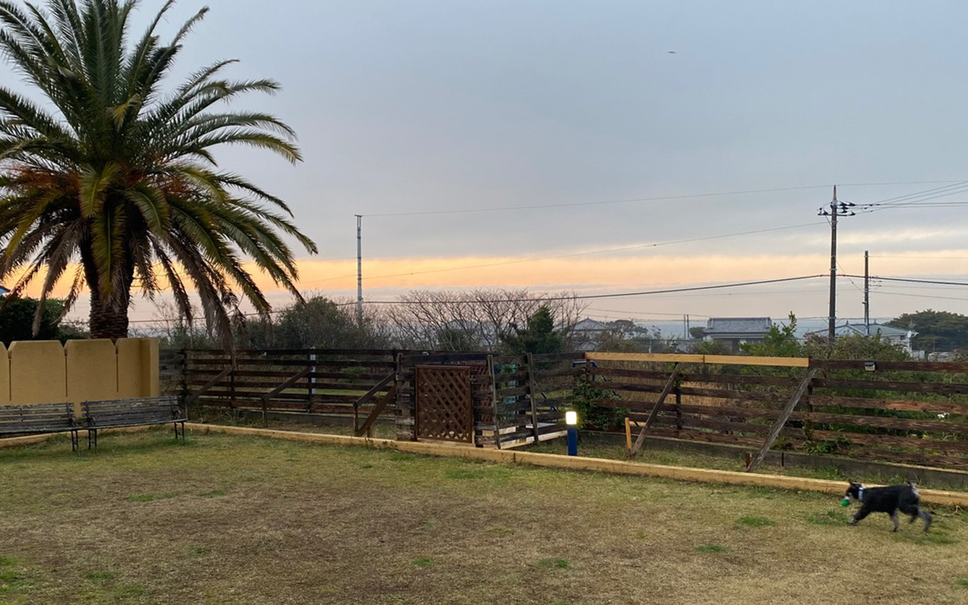 ペットと泊まるホテルをいろんな場所で展開しているCARO FORESTAの館山DIANAは、海が見えるドッグランが楽しめました。徒歩5分ほどで砂浜にも出られて、愛犬オレオは初めてみる海、波、砂浜の感触に大興奮でした