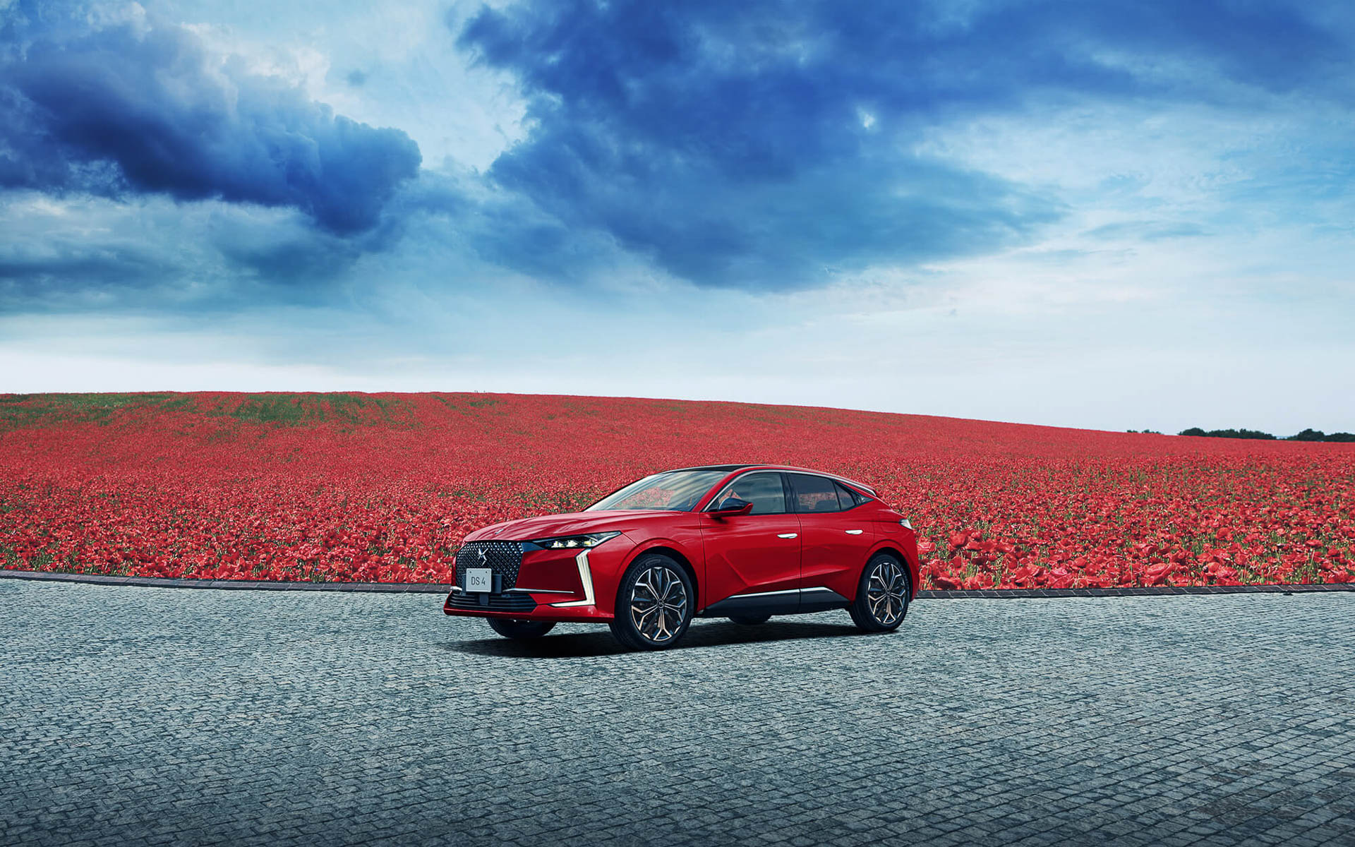 DS 4 リボリ BlueHDi コクリコ エディション