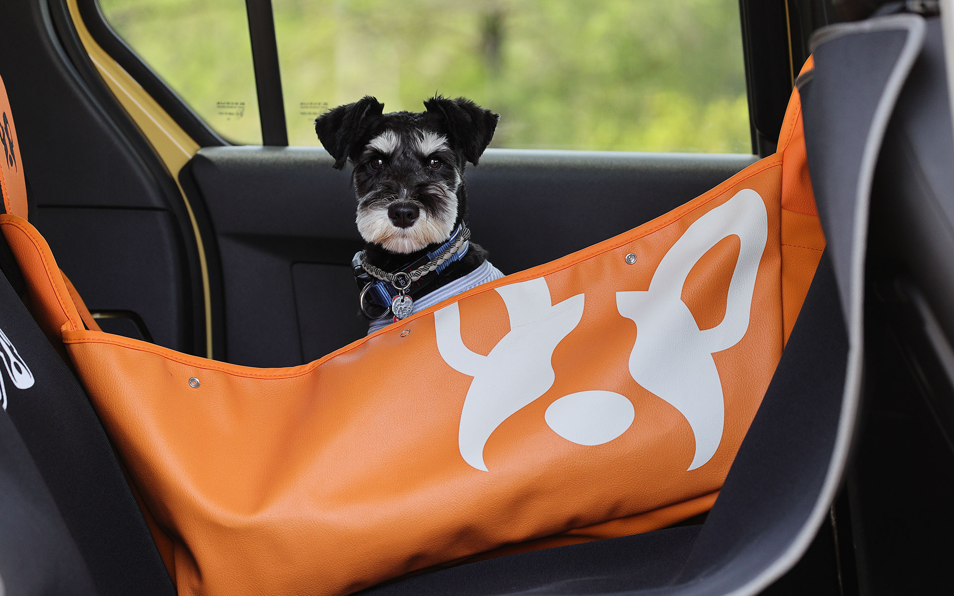 リアシートバッグはペットキャリアと異なり開放感があるため、ちょっとした休憩にぴったりなアイテム