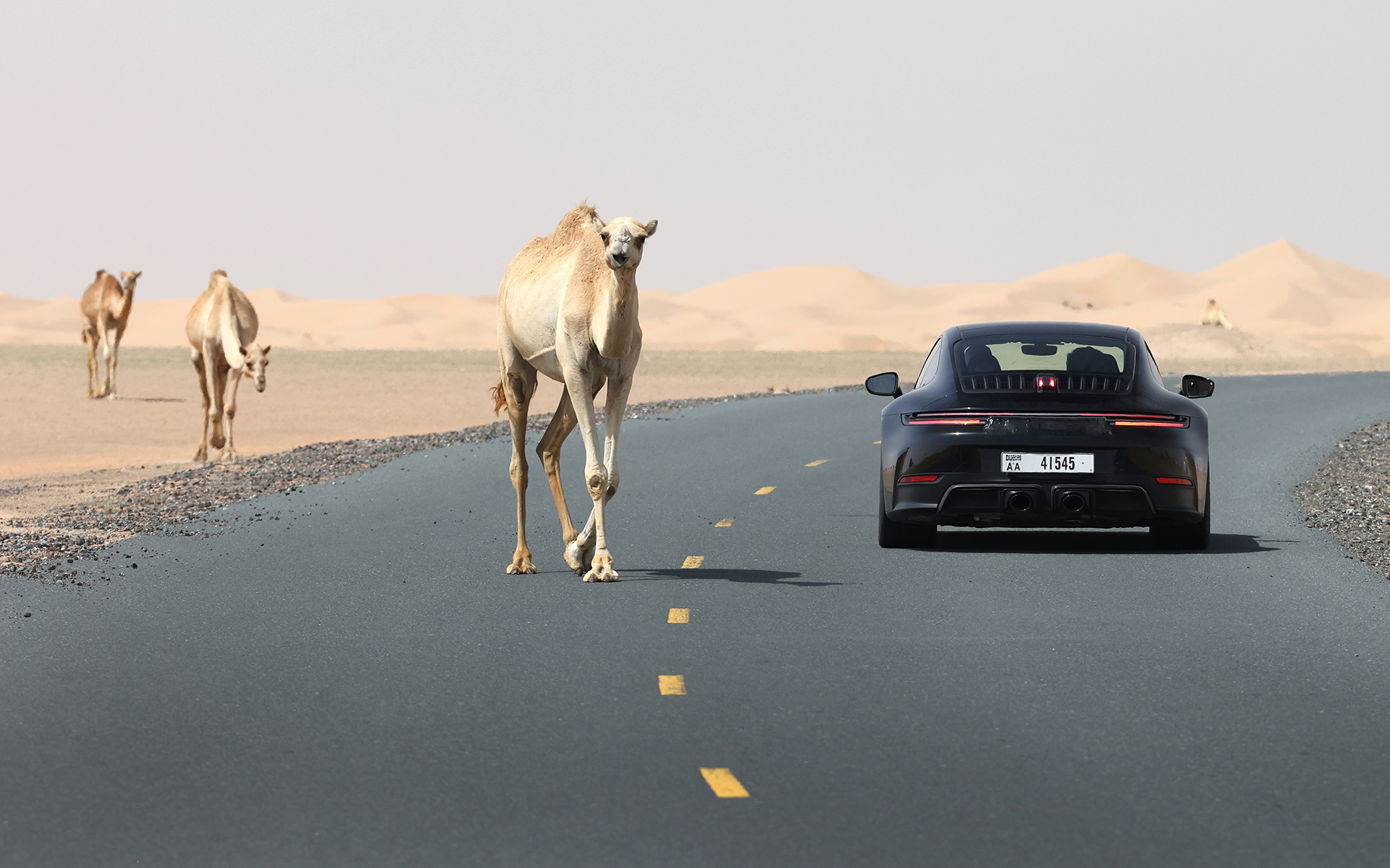 開発にあたっては極寒の寒さから灼熱の暑さまで、さまざまな事態を想定して行なわれた