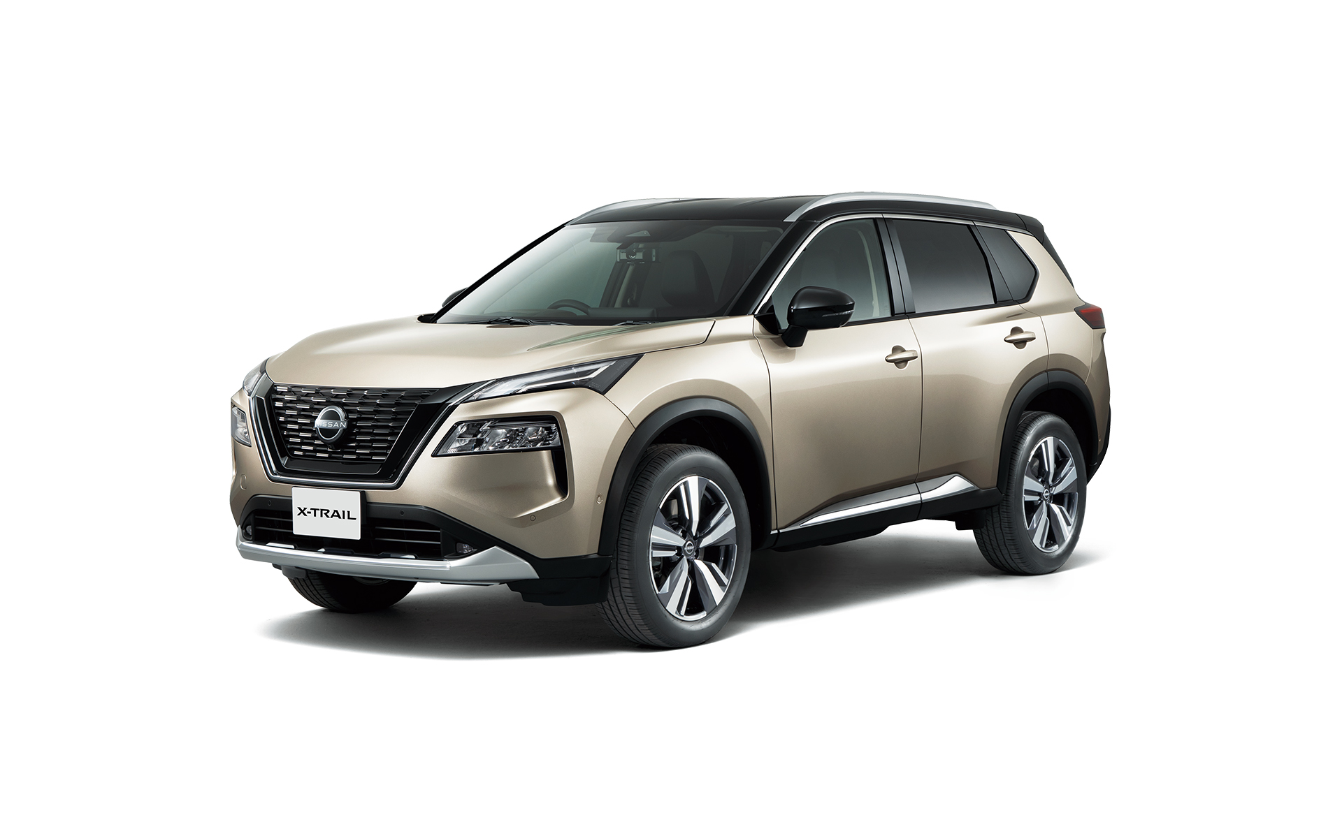 G e-4ORCE（シェルブロンド/スーパーブラック2トーン）