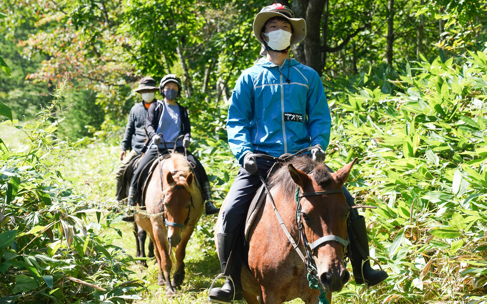 過去の開催の様子