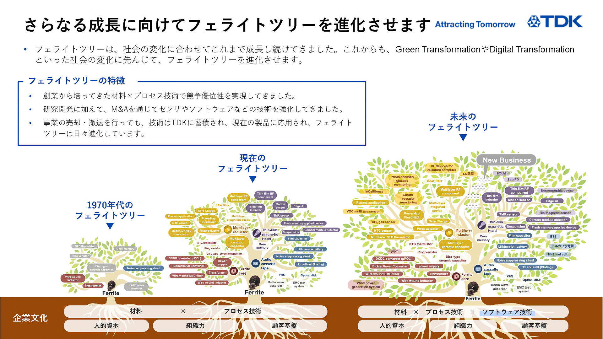 フェライトツリーの進化