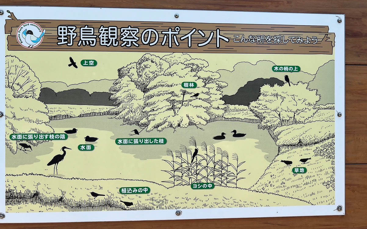 公園内のバードウオッチングスポットに置かれていた野鳥図鑑。多彩な鳥たちが生活している