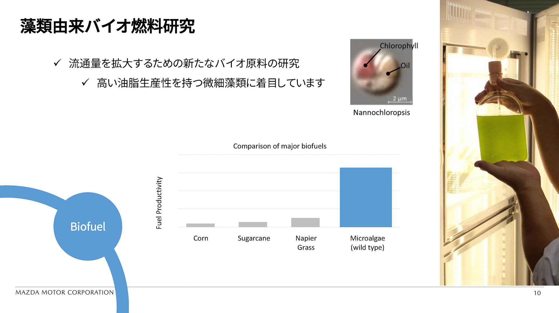 藻類由来のバイオ燃料研究