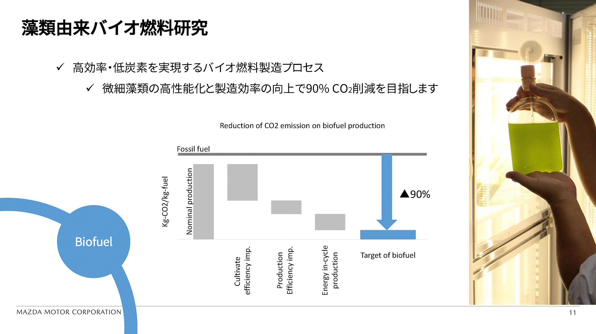 藻類由来のバイオ燃料研究