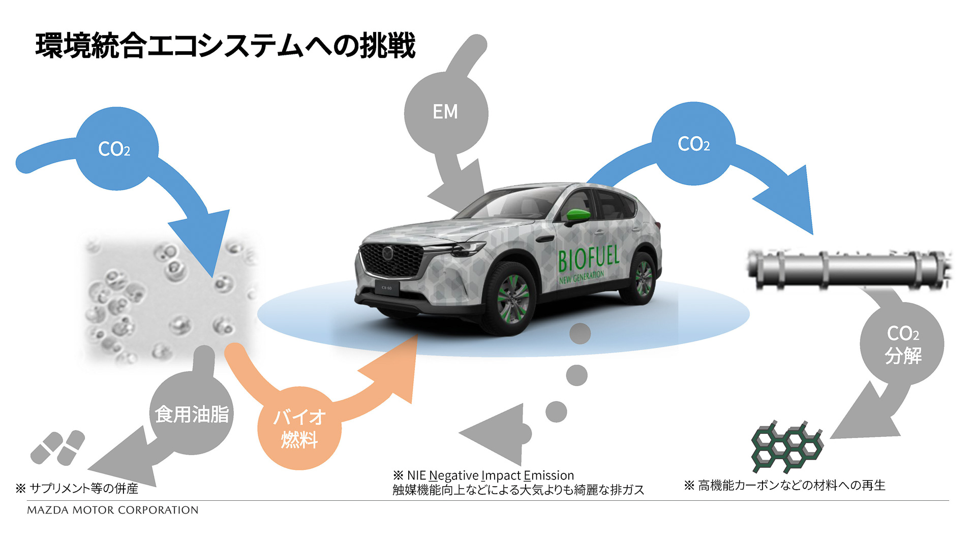 環境統合エコシステムへの挑戦