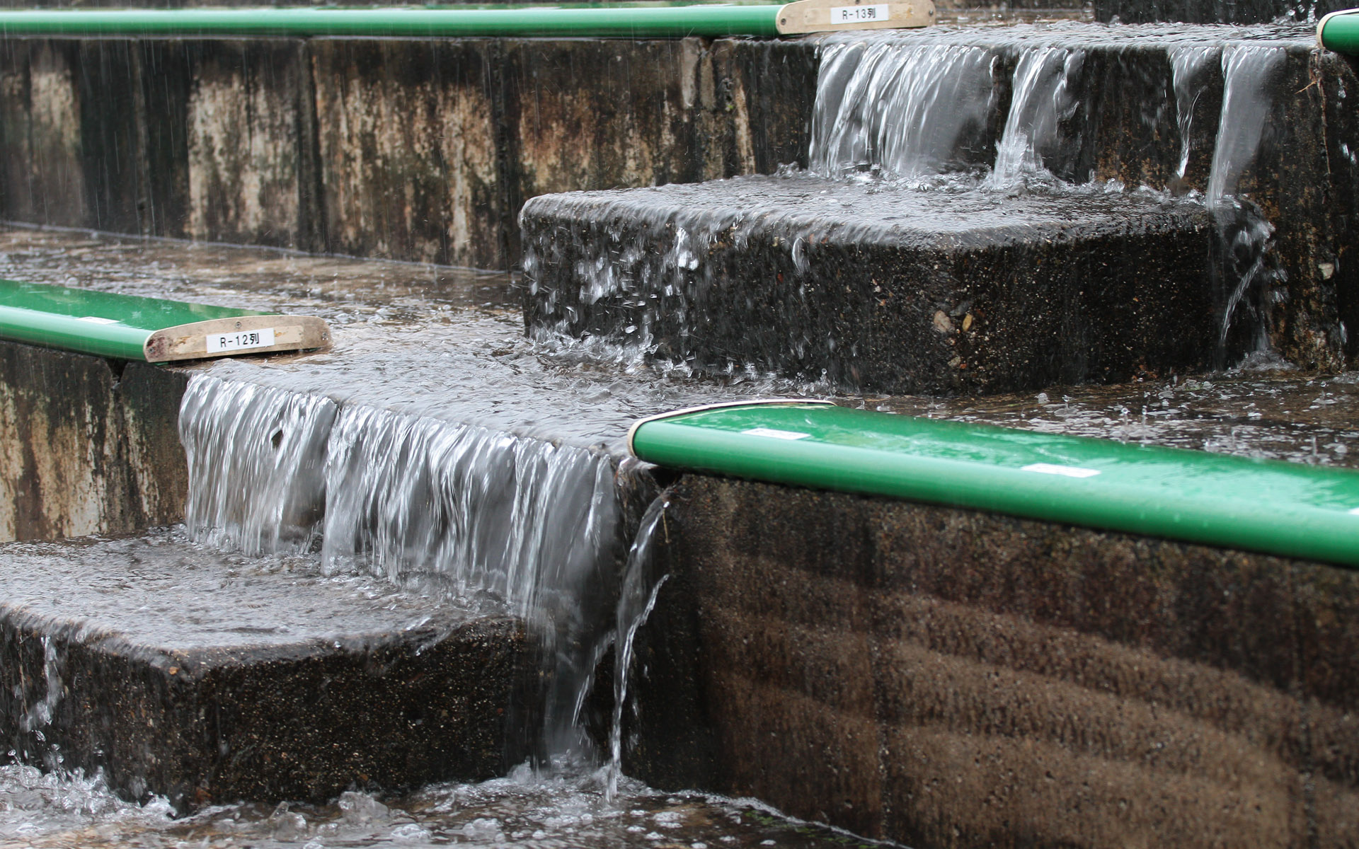 2010年、午前中のセッションのC席スタンド