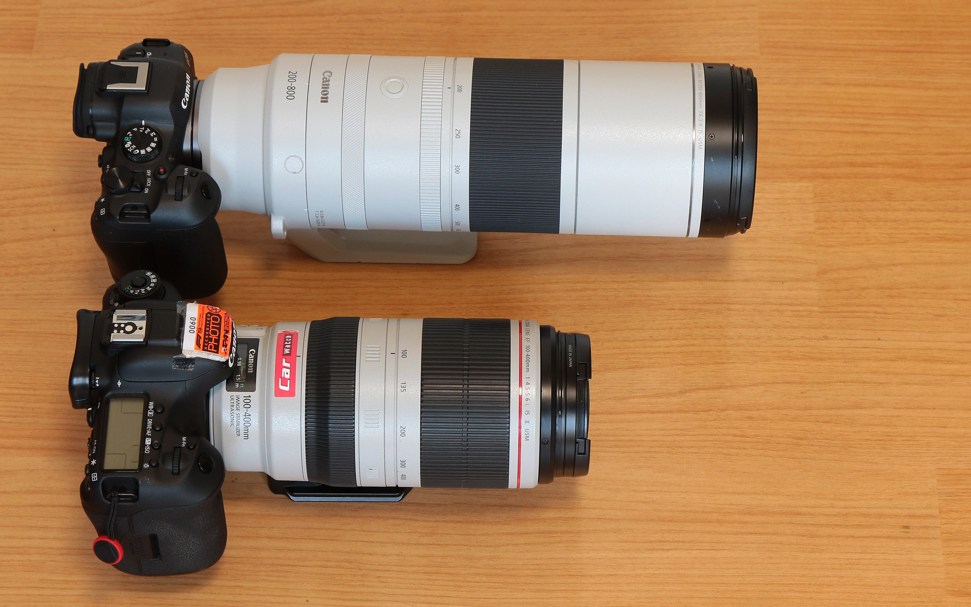 手前がEF100-400mm F4.5-5.6L IS II USM、奥がRF200-800mm F6.3-9 IS USM。広角端を比較