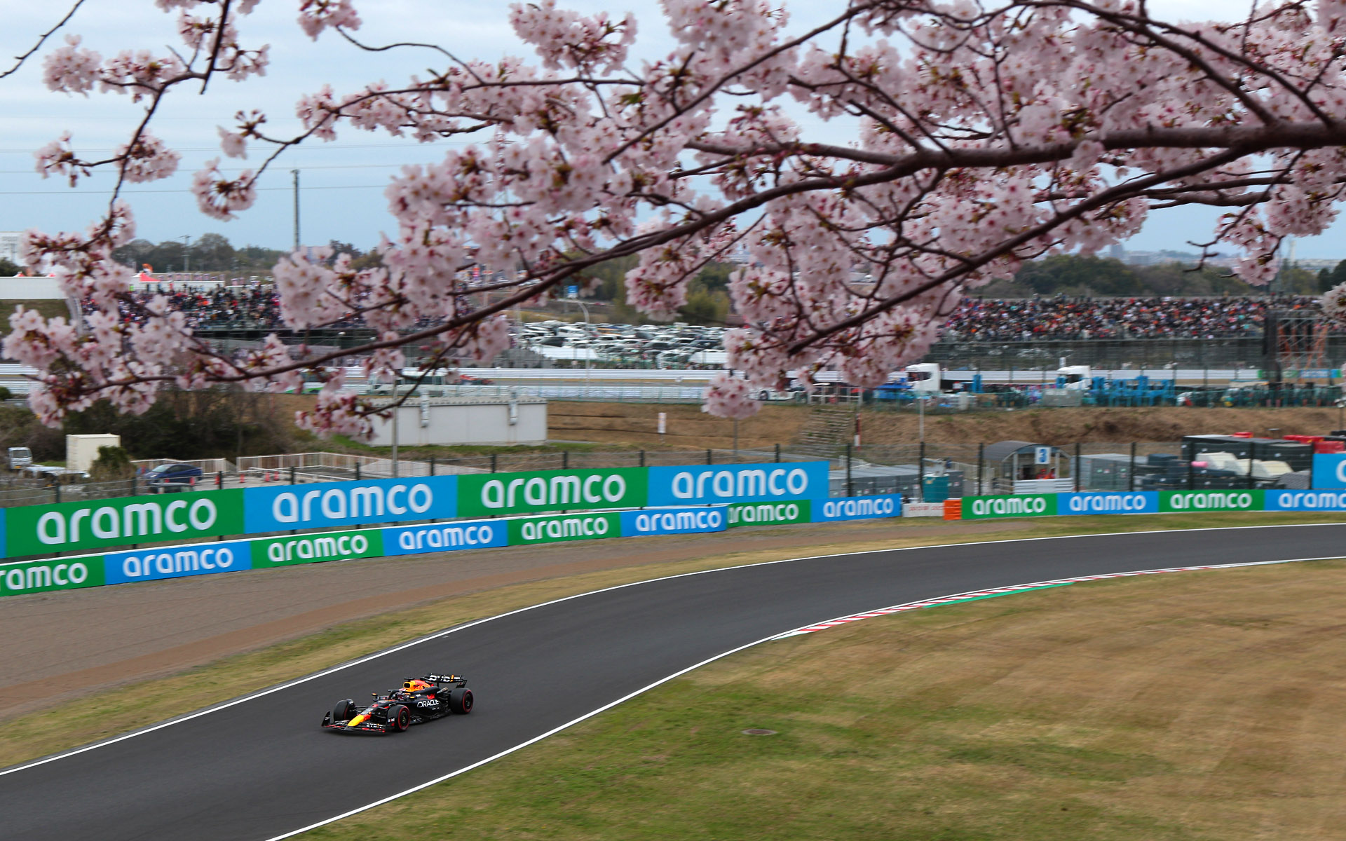 土手の最上段で、上半分が桜、下半分がコースというレイアウトで撮影