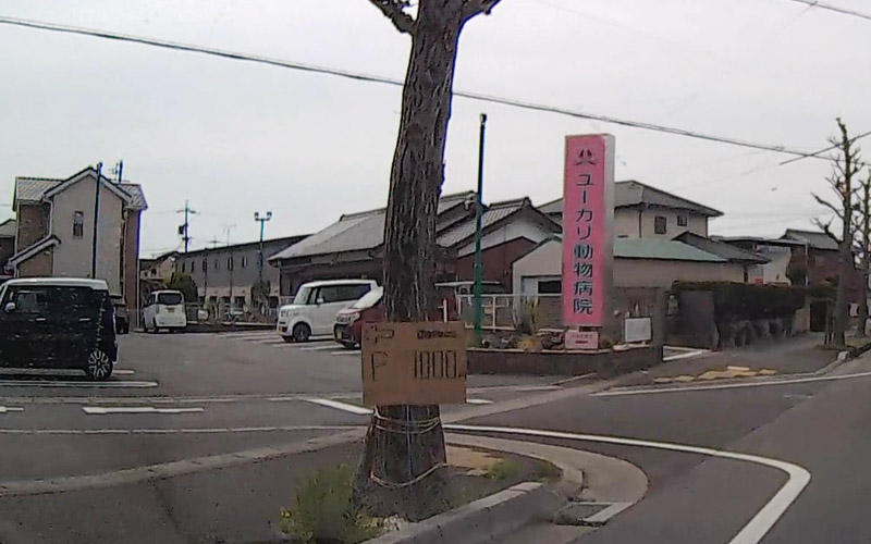 2023年の土曜日は500円。2024年の土曜日は不明、日曜日は1000円