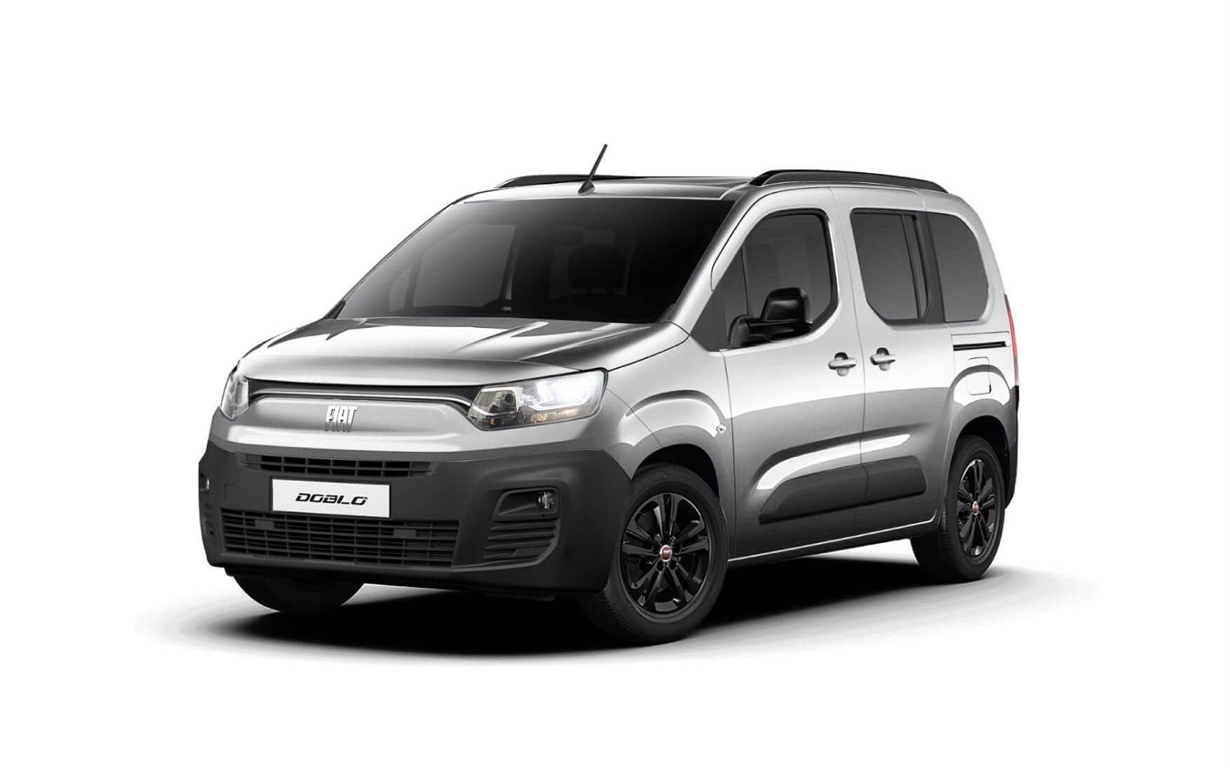 マエストログレー