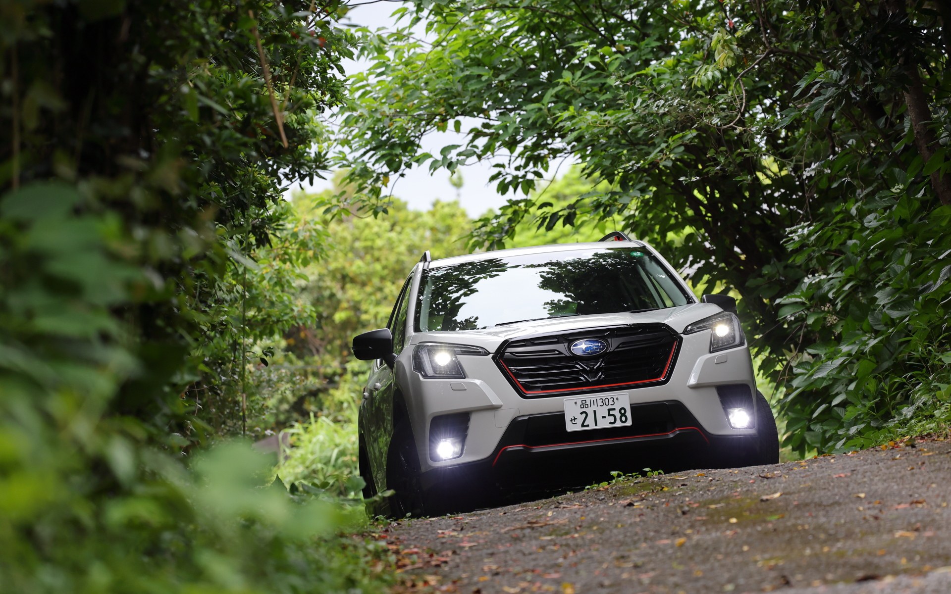 寄り道をしながらレストランへ向かう