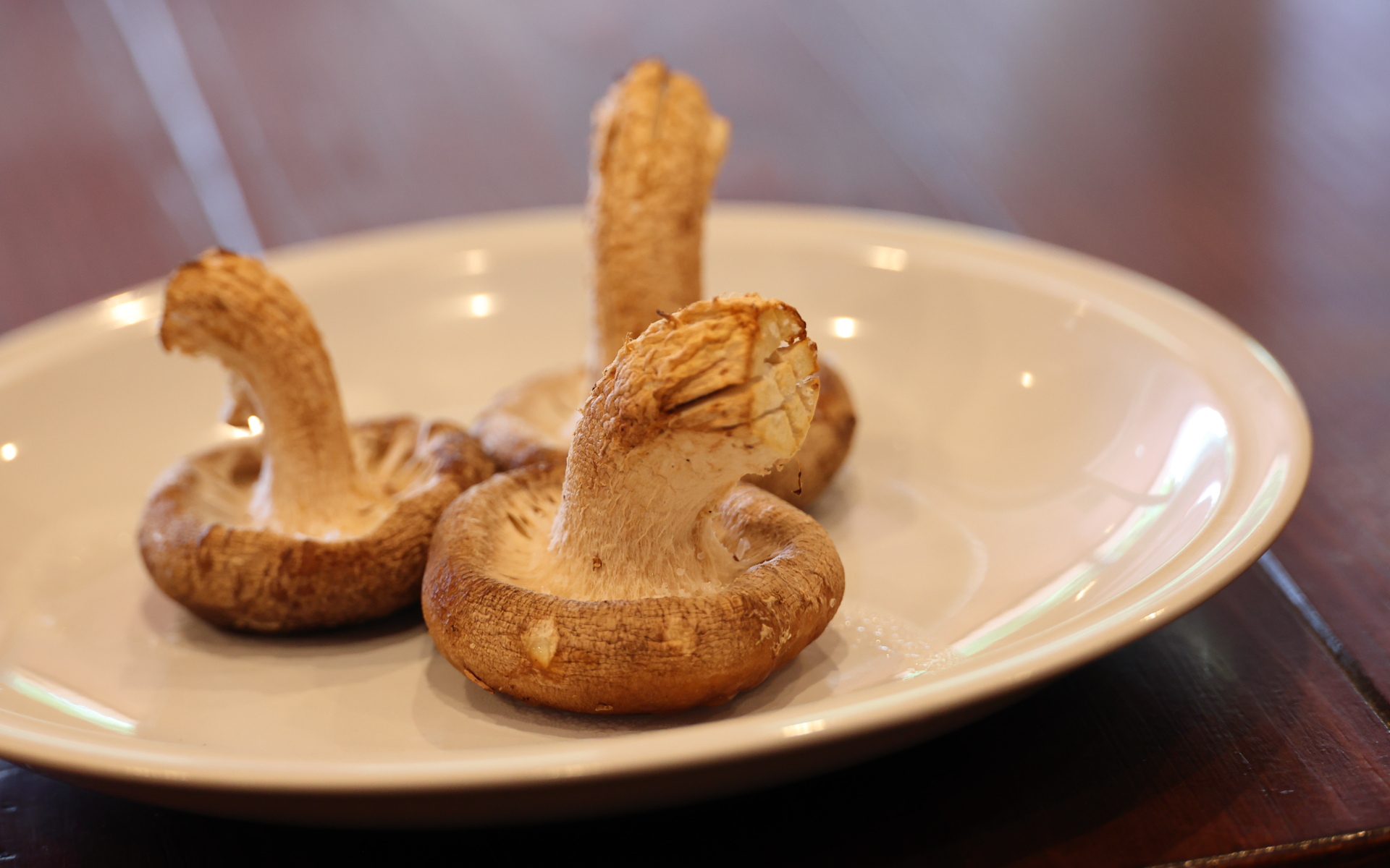 海風を浴びて育った「うみかぜ椎茸」がいただける「うみかぜテラス」でランチ。肉厚のうみかぜ椎茸を青ヶ島の「ひんぎゃの塩」でいただく塩焼きは、シンプルながらも椎茸のしっかりとした味を楽しめる。ほかに、うみかぜ椎茸のボロネーゼやうみかぜ椎茸のパンナコッタなども