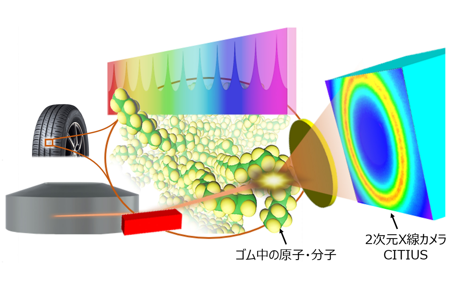 原子・分子・ナノ構造の運動を幅広い時間領域で測定可能な放射光技術の概念図 ©Makina Saito