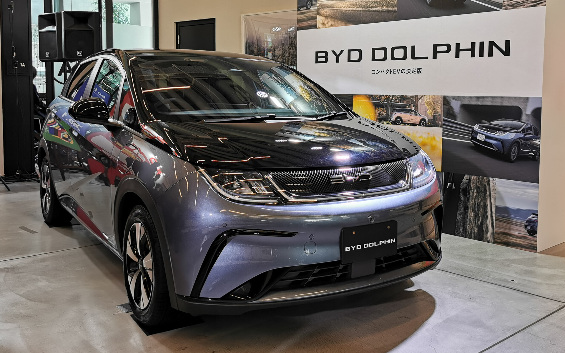 ドルフィン（DOLPHIN）