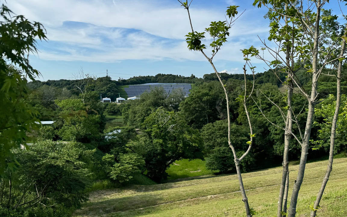 エントランスを入ってほど近い小道から見渡せる、合計2.4MWの発電量を誇るというソーラーパネル。自然と共生しながら、可能な限り地球に負荷をかけない形でエネルギーを作り出し、持続可能な経営をしていくことが、クルックフィールズの目指す形なのだそう