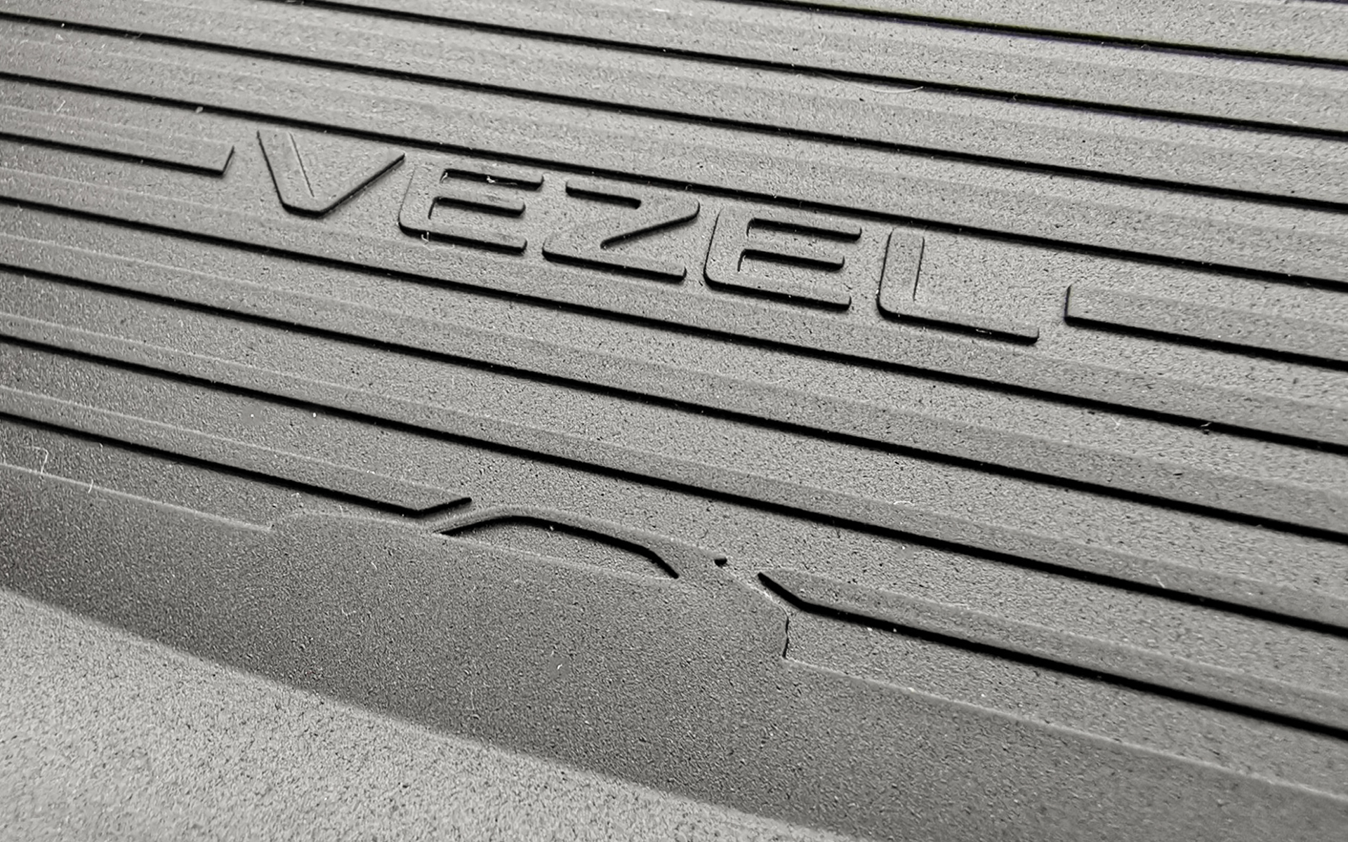 何かが隠れているの分かりますか？