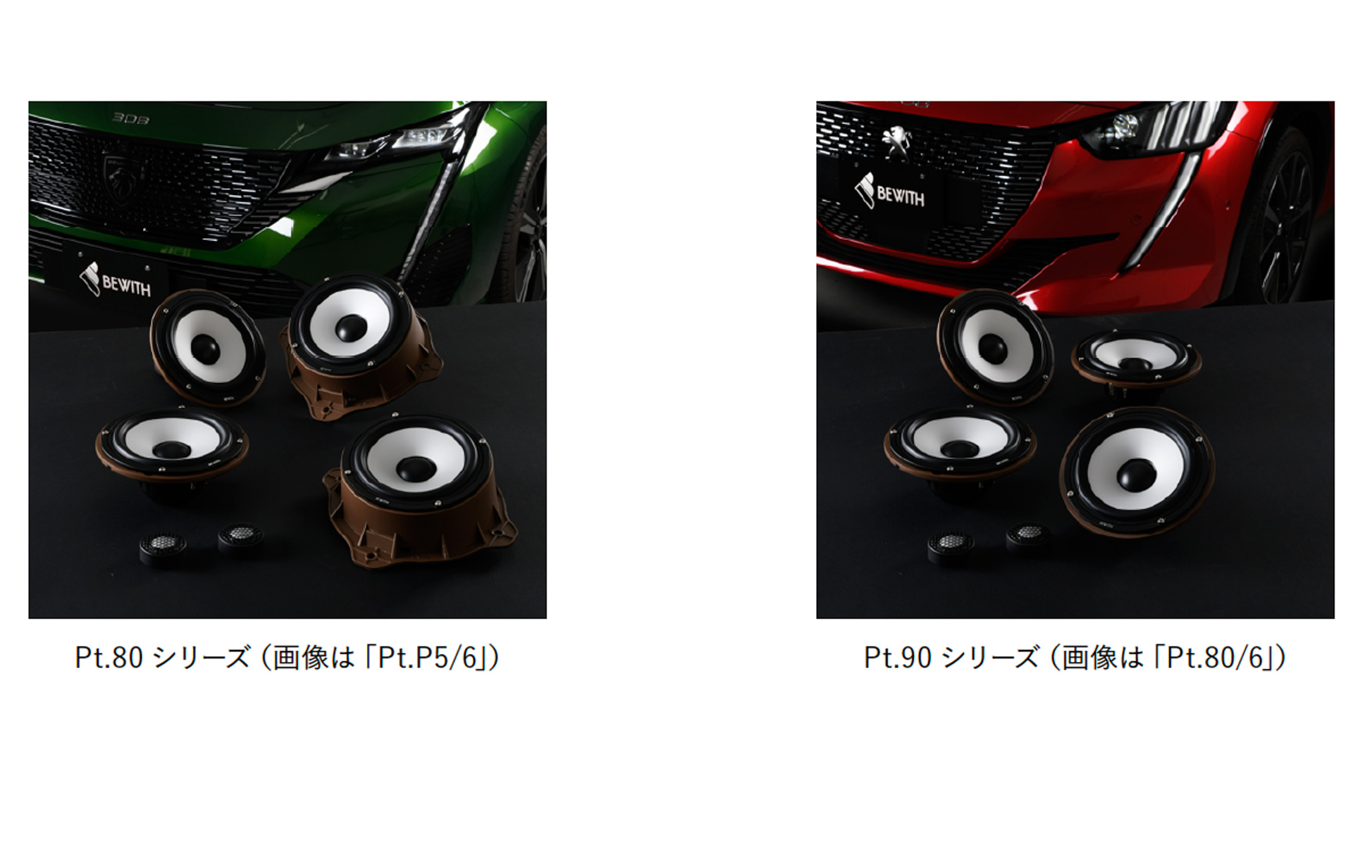 プジョー/シトロエン専用モデル