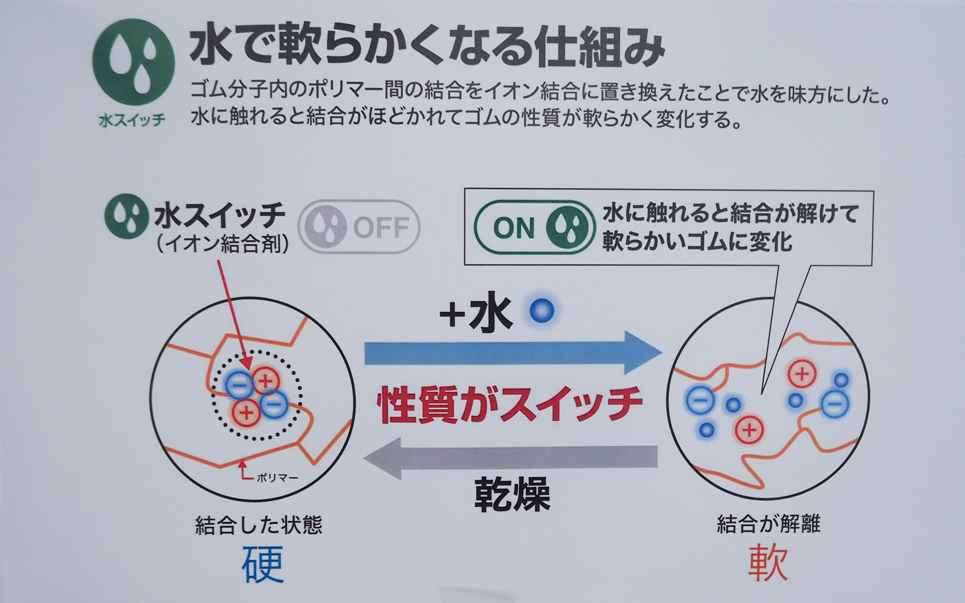 水で軟らかくなる仕組み