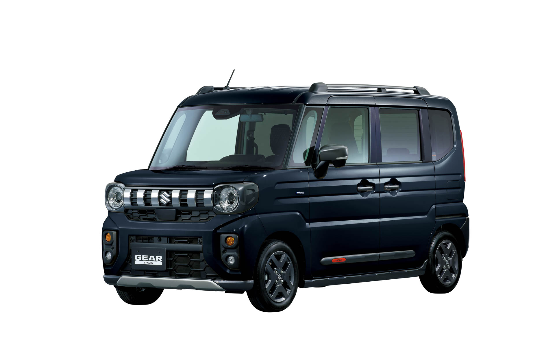 ブルーイッシュブラックパール